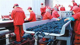 11月5日首屆國際進(jìn)博會(huì)開幕 中國準(zhǔn)備 買買買