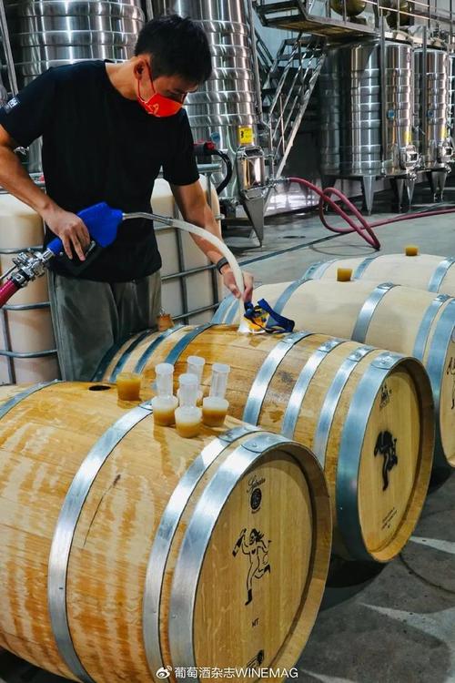中國葡萄酒新勢力 釀松弛的酒，做最“野”的標
